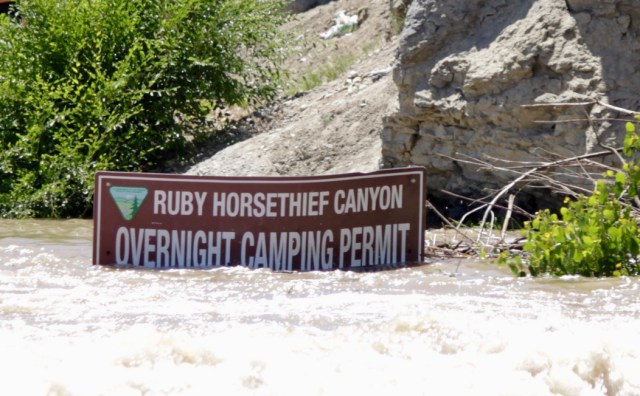 Fred's Birthday River Trip 2019