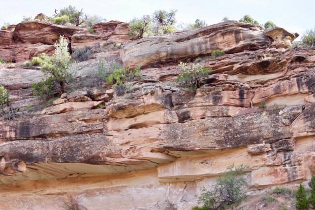 Fred's Birthday River Trip 2019