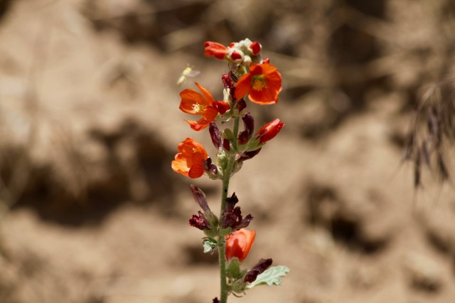Fred's Birthday River Trip 2019