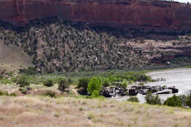 Fred's Birthday River Trip 2019