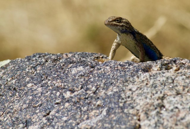 Fred's Birthday River Trip 2019