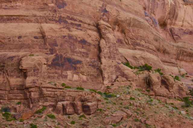 Fred's Birthday River Trip 2019