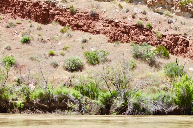 Fred's Birthday River Trip 2019