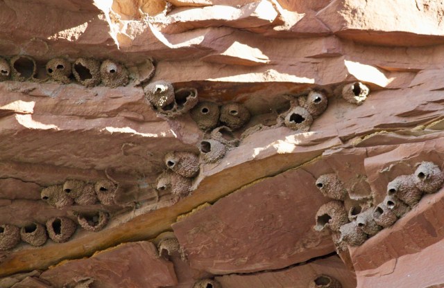 Fred's Birthday River Trip 2019