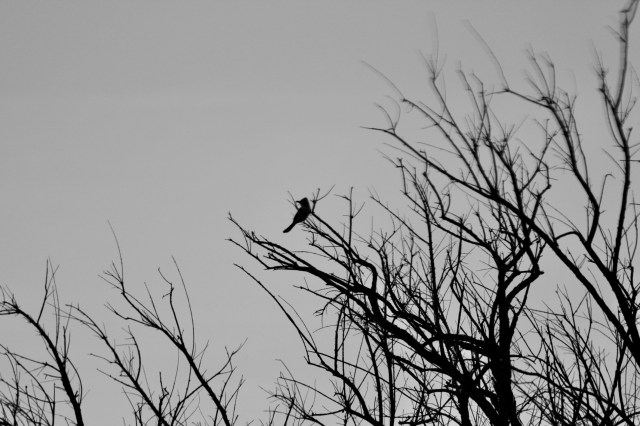 Fred's Birthday River Trip 2019