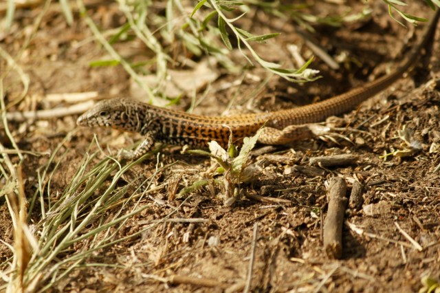 Fred's Birthday River Trip 2019