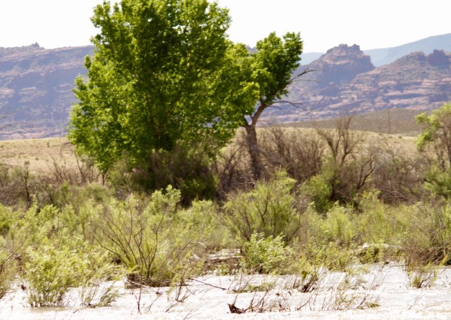 Fred's Birthday River Trip 2019