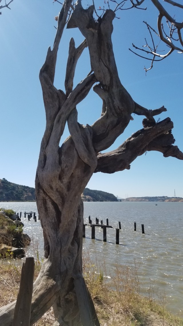 Resized_20190803_161512