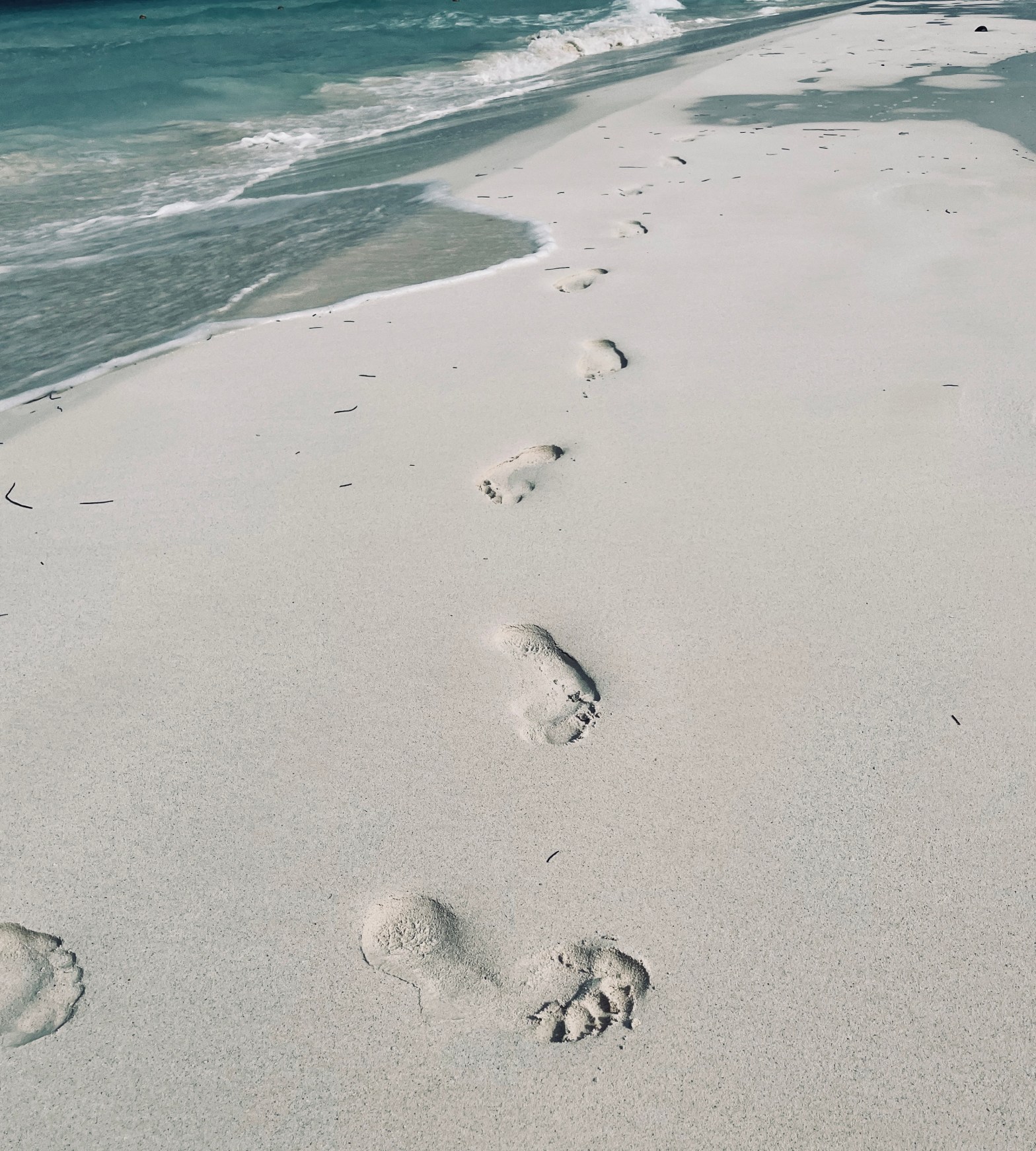 “If light is in your heart, you will find your way&nbsp;home.”